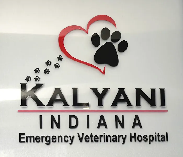 Kalyani Indiana Emergency Veterinary Hospital 6