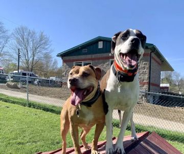 Indian Springs Veterinary Clinic
