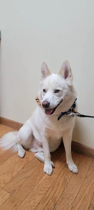 Veterinary Clinic Of Indiana 2