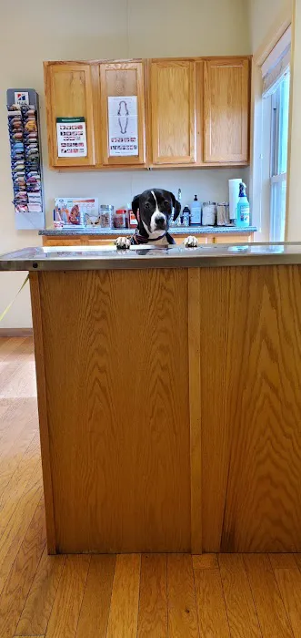 Veterinary Clinic Of Indiana 10