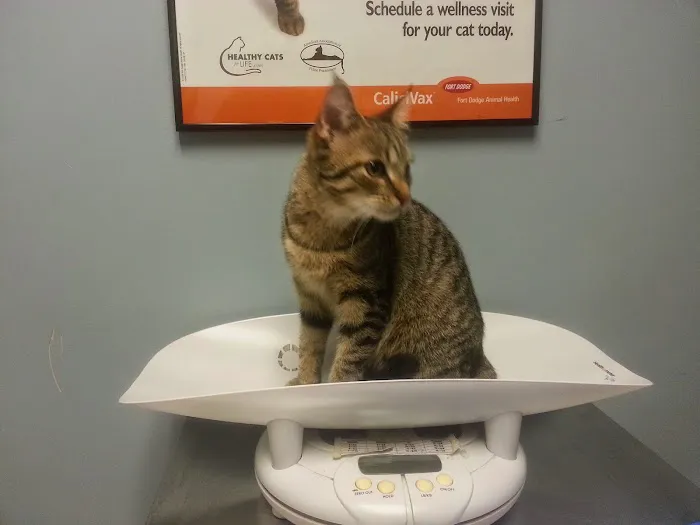 Aurora Pet Hospital 6