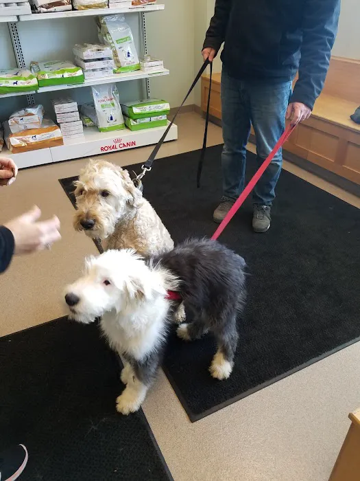 Aurora Pet Hospital 5