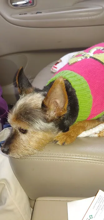 Aurora Pet Hospital 2