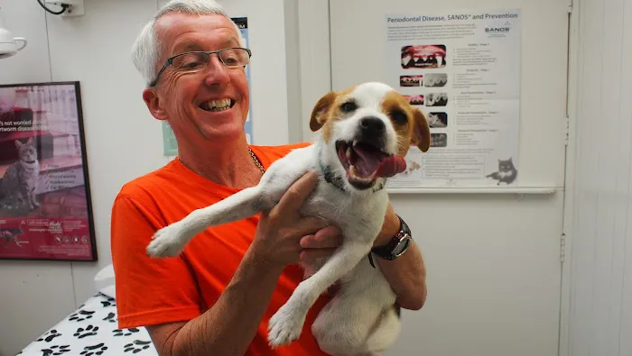 East Aurora Veterinary Hospital 6