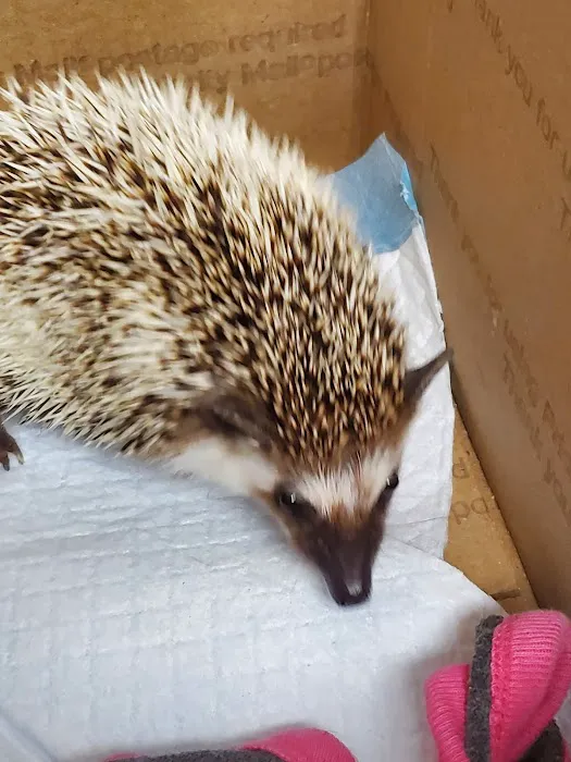 Seneca Animal Hospital 9