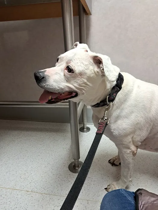 Seneca Animal Hospital 10