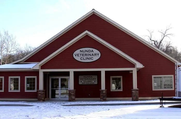 Nunda Veterinary Clinic 9