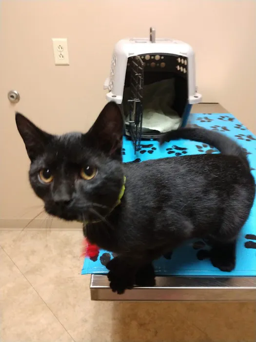 Nunda Veterinary Clinic 7