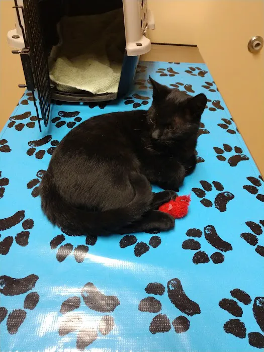 Nunda Veterinary Clinic 4
