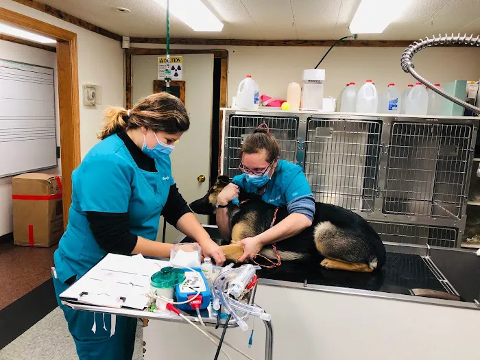 Haskell Valley Veterinary Clinic 5