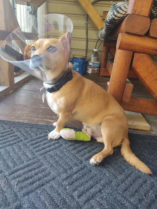 Enchanted Mountains Urgent Veterinary Care 10