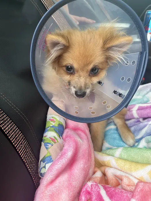 Enchanted Mountains Urgent Veterinary Care 6
