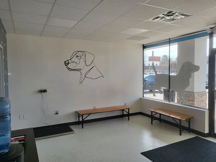 Enchanted Mountains Urgent Veterinary Care 8