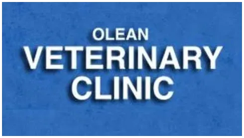 Olean Veterinary Clinic 7