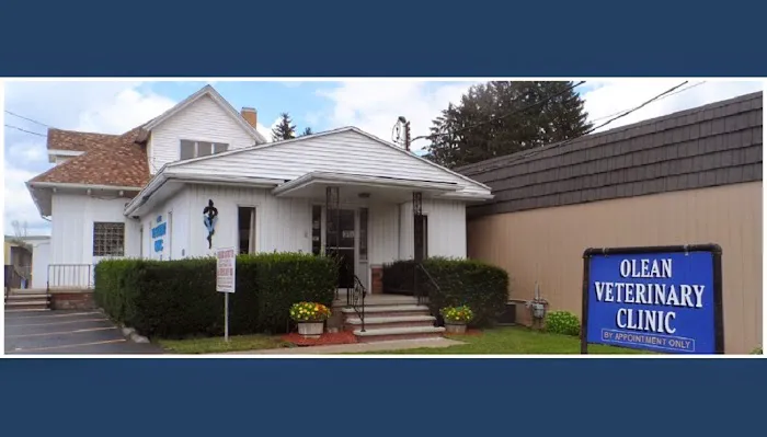 Olean Veterinary Clinic 4