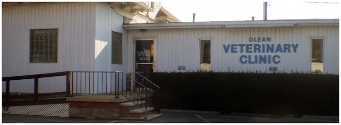 Olean Veterinary Clinic 2