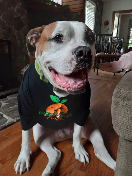 Wellsville Veterinary Hospital 8