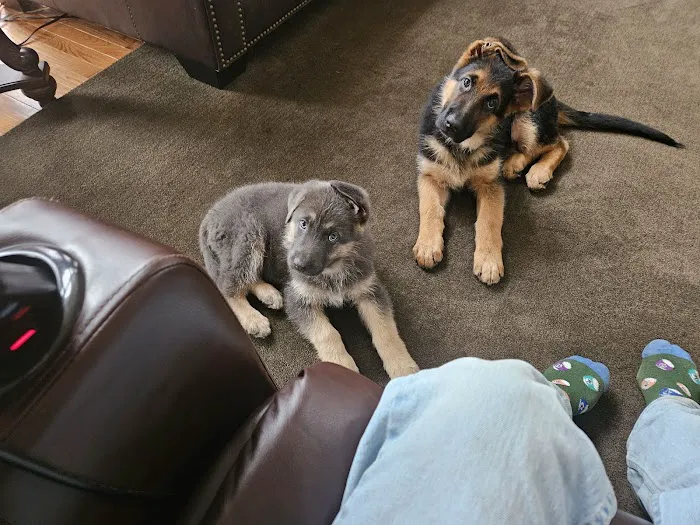 Southtowns Animal Hospital 1
