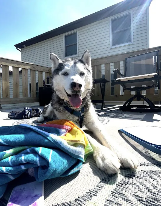 PET DEGREE 7