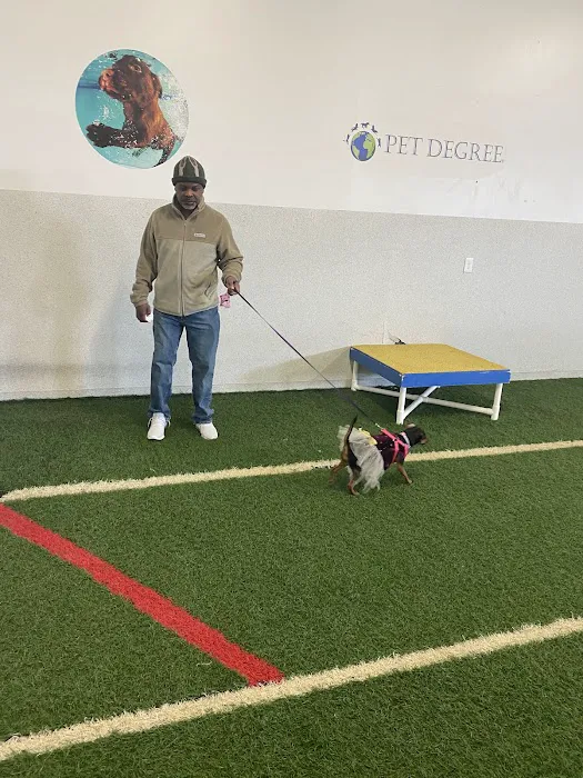PET DEGREE 5