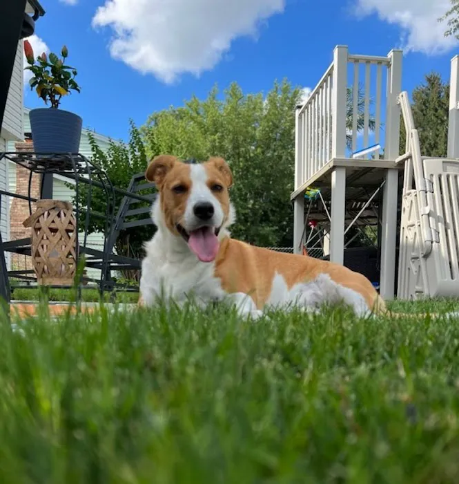 GrandView Animal Care Center 8