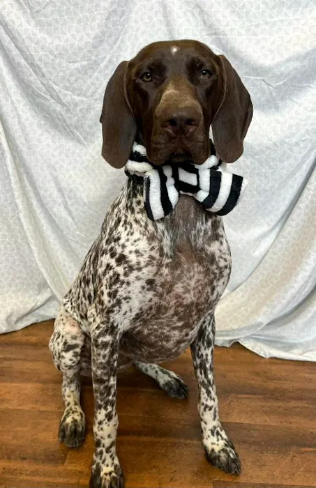 Creekview Veterinary Center 2