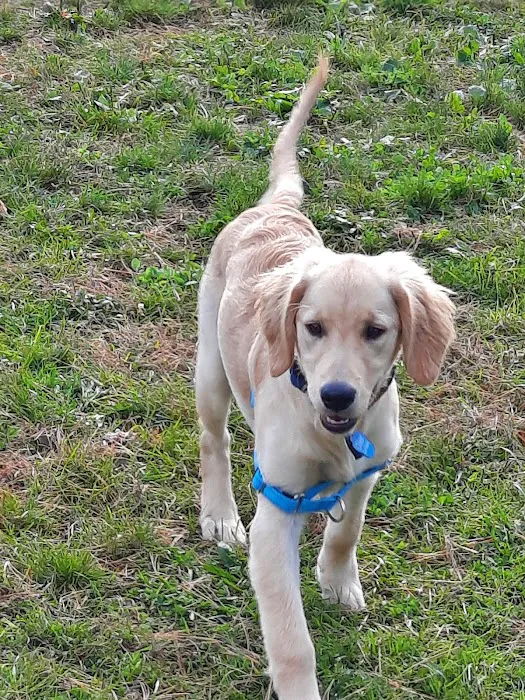 Creekview Veterinary Center 7