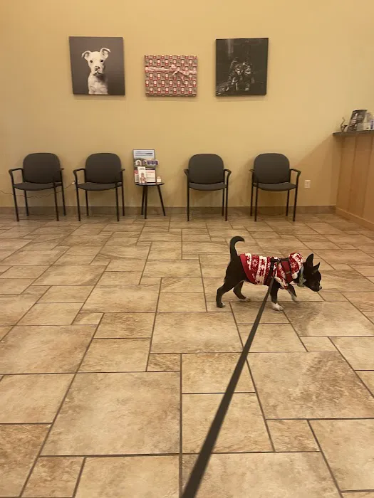 Creekview Veterinary Center 9