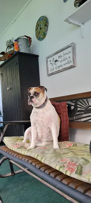 Tri-Town Veterinary Hospital 5