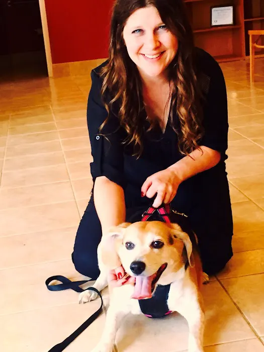 Elma Animal Hospital 3