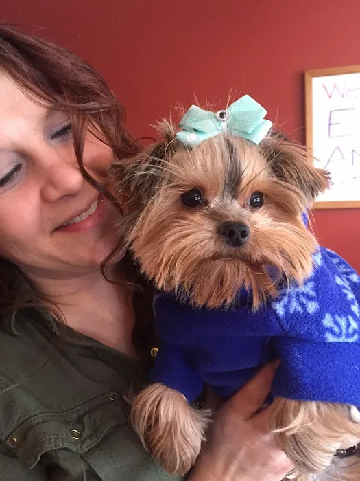 Elma Animal Hospital 9