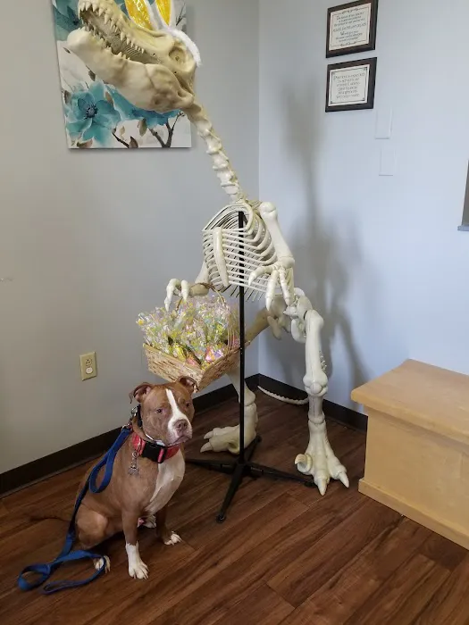 Suburban South Veterinary Hospital 4