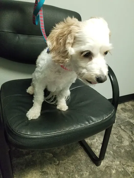 Suburban South Veterinary Hospital 5