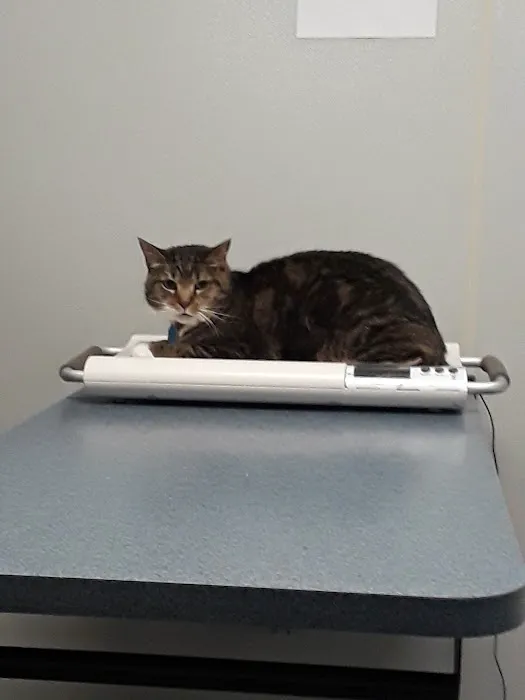 Suburban South Veterinary Hospital 2