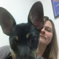 Aday Veterinary Hospital ico
