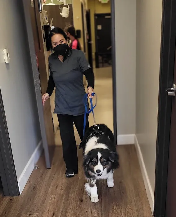 Mission Animal Hospital 6