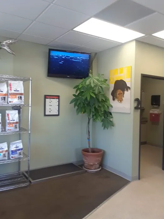 Mission Animal Hospital 1