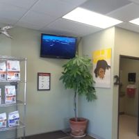 Mission Animal Hospital ico