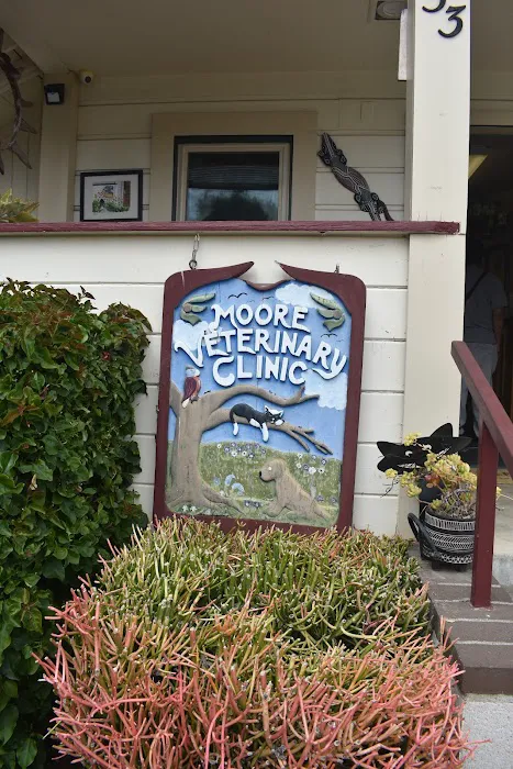 Moore Veterinary Care 5