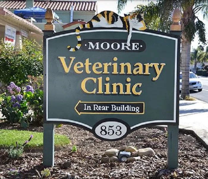 Moore Veterinary Care 10