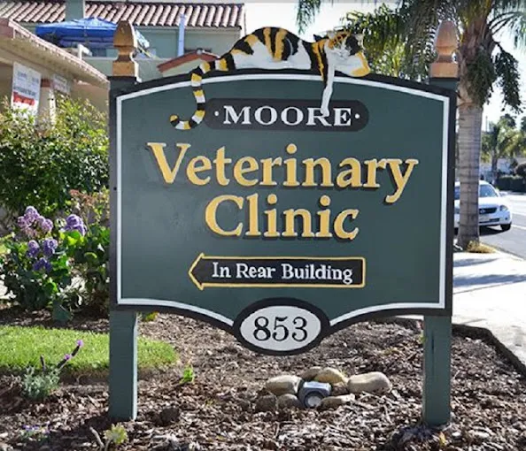 Moore Veterinary Care: Dr. Karen Moore DVM 2