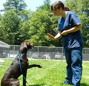 Muddy Creek Animal Care Center 4