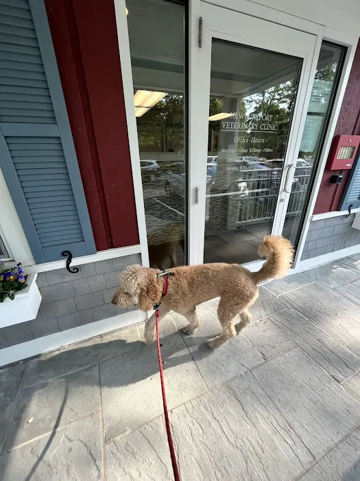 Newburyport Veterinary Clinic 7