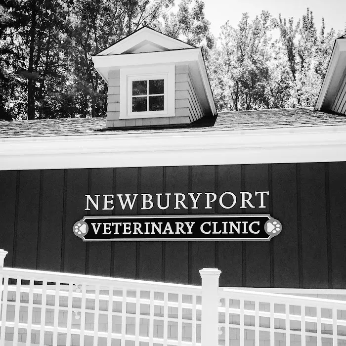 Newburyport Veterinary Clinic 8