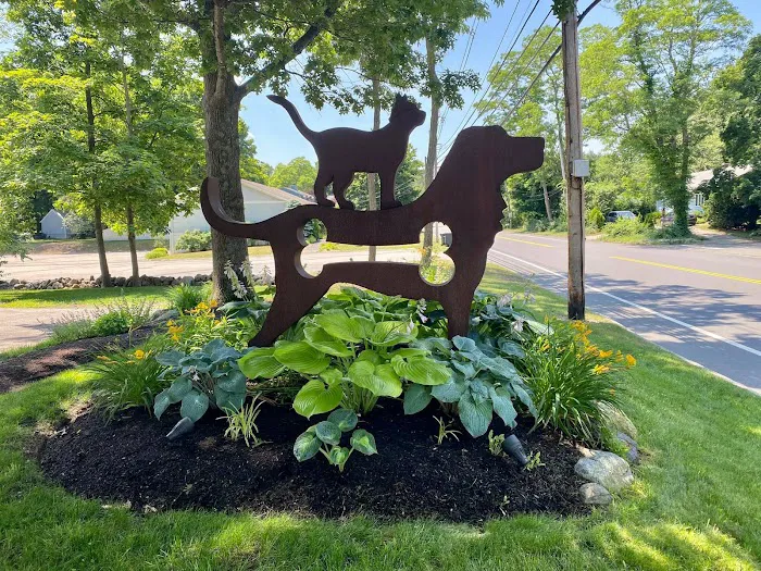 Newburyport Veterinary Clinic 10