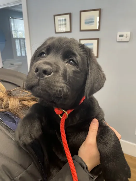 Newburyport Veterinary Clinic 5