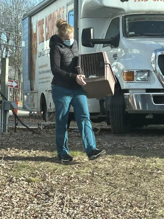 Catmobile 5