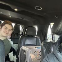 Catmobile ico