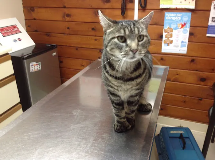 Animal Health Center of Salisbury 10