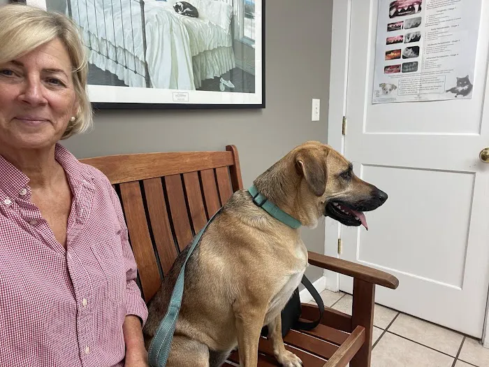 Old Town Animal Hospital 10